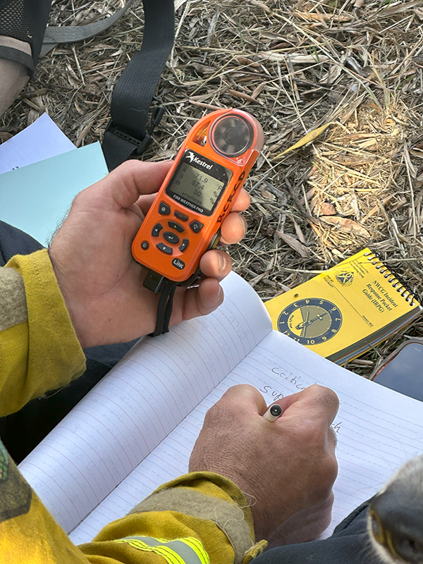 S244/S245 Field Observer, Fire Effect Monitor, Display Processor